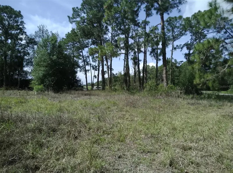 705 Horse Club Ave, FL