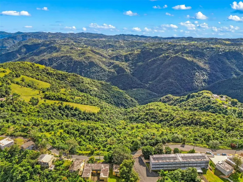 Carr 156 Km 20.1 Interior Bo Honduras, PR