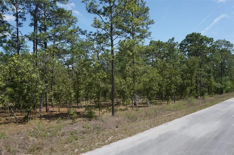 Tbd Nw Tree Top Rd, FL
