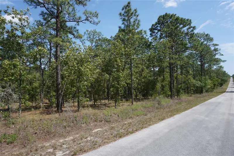 Tbd Nw Tree Top Rd, FL