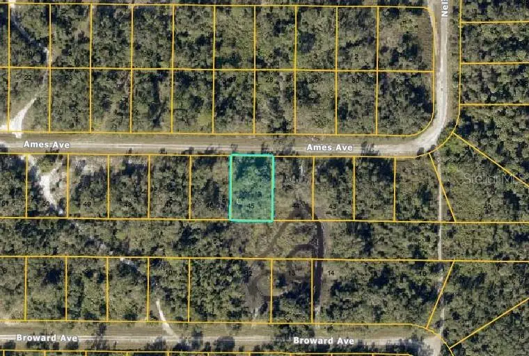 Lot #45 Ames Ave, FL
