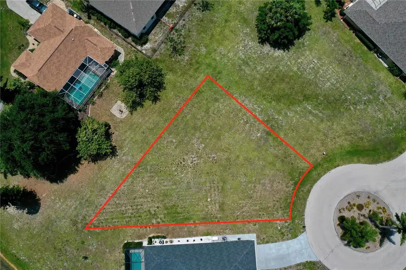 204 Yellow Elder, FL