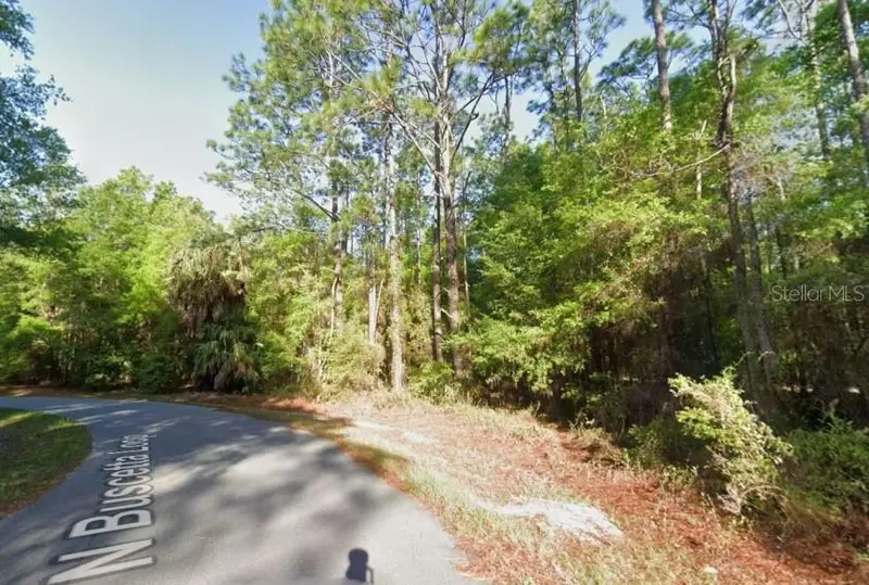 8754 N Buscetta Loop, FL