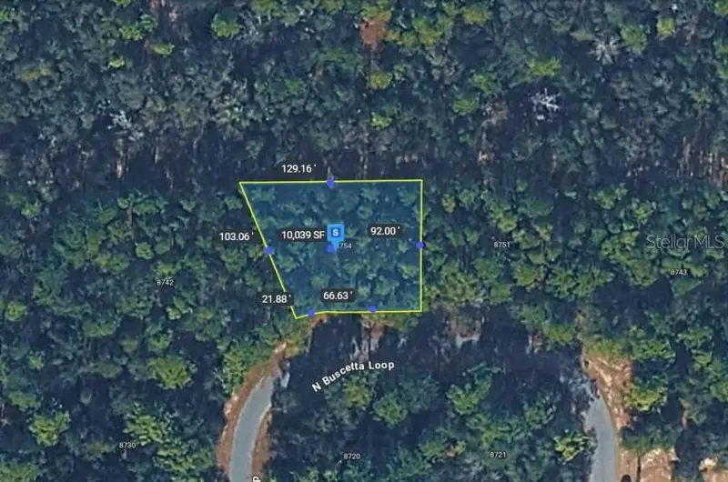 8754 N Buscetta Loop, FL