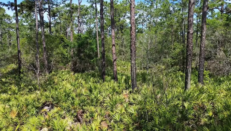 S Apopka Vineland Rd, FL