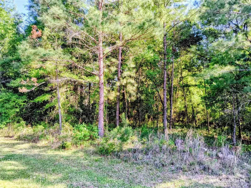 Tbd Nw 142nd St, FL