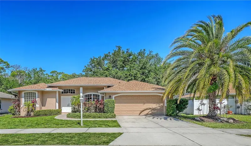 3521 Branch Creek Dr, FL