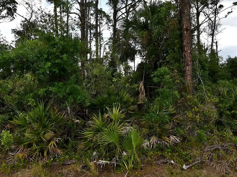 Geloso Ave, FL
