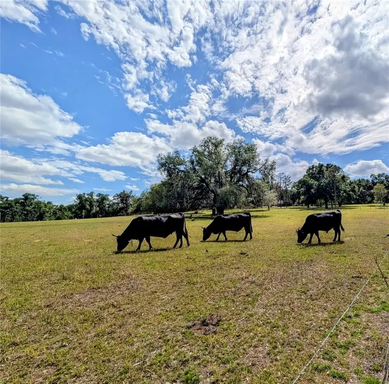 0 Sweetwater Rd, FL