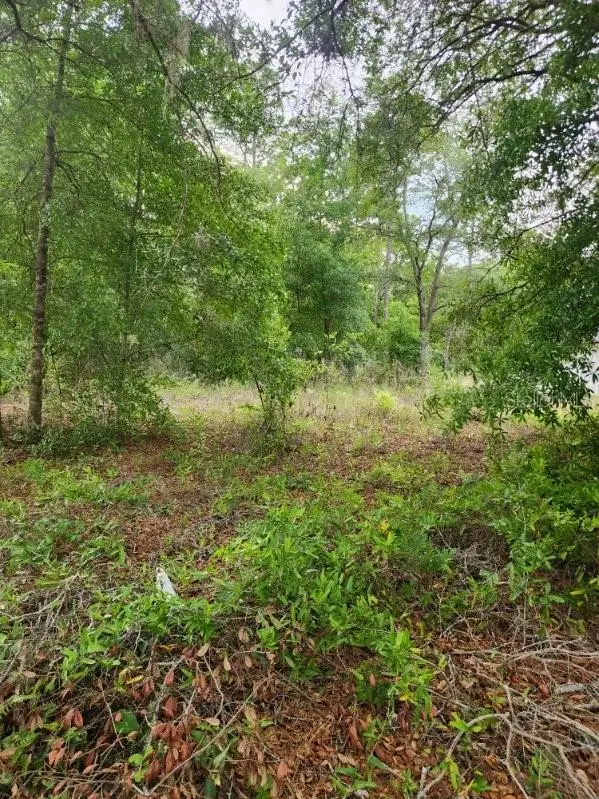 00 Marion Oaks Pass, FL