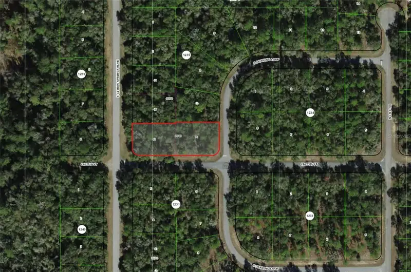 2054 E Citrus Springs Blvd, FL