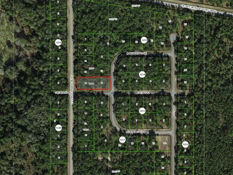2054 E Citrus Springs Blvd, FL