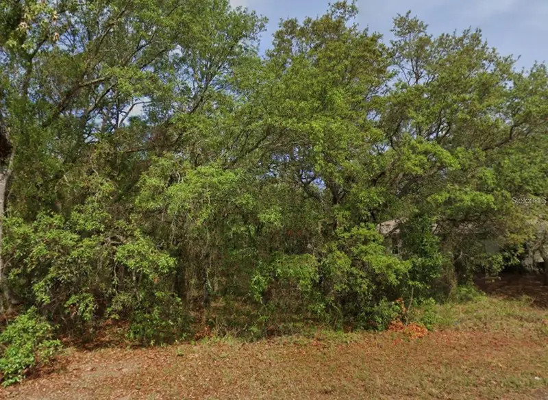 4 Honeysuckle Ct N, FL