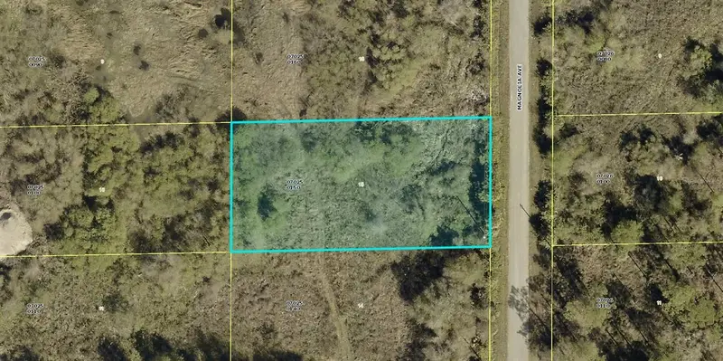 1405 Magnolia Ave, FL