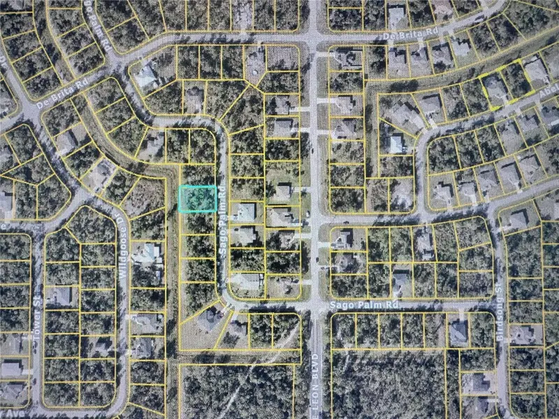 Sago Palm Rd, FL