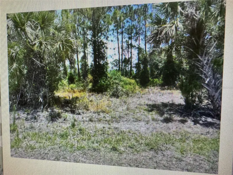 Sago Palm Rd, FL
