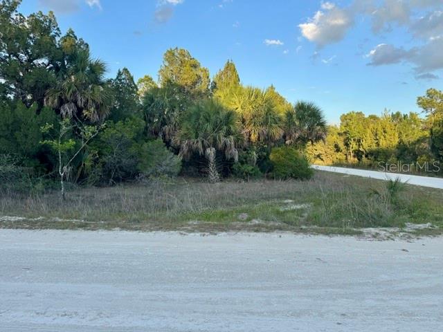 Rapidan Rd, FL