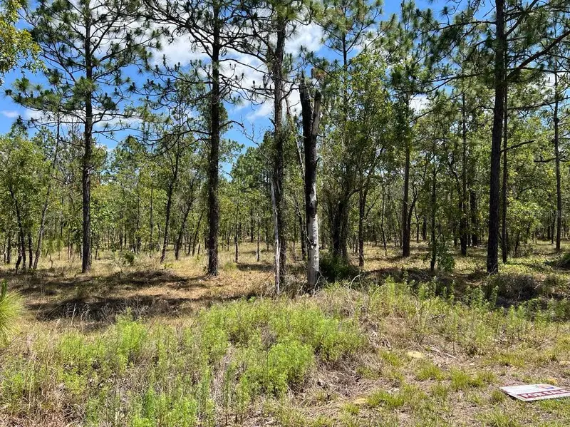 Nw Amberjack, Lot #33, FL
