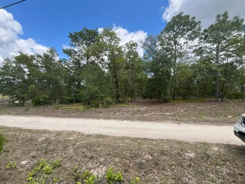 3726 W Spoon Wood Ct, FL
