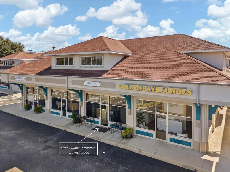 1484 Alternate 19 N, FL