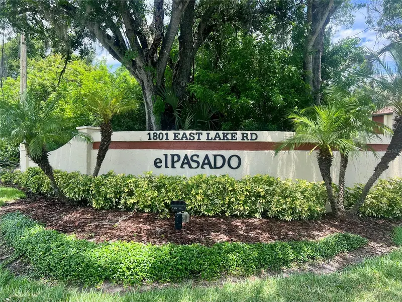 1801 E Lake Rd #17c, FL