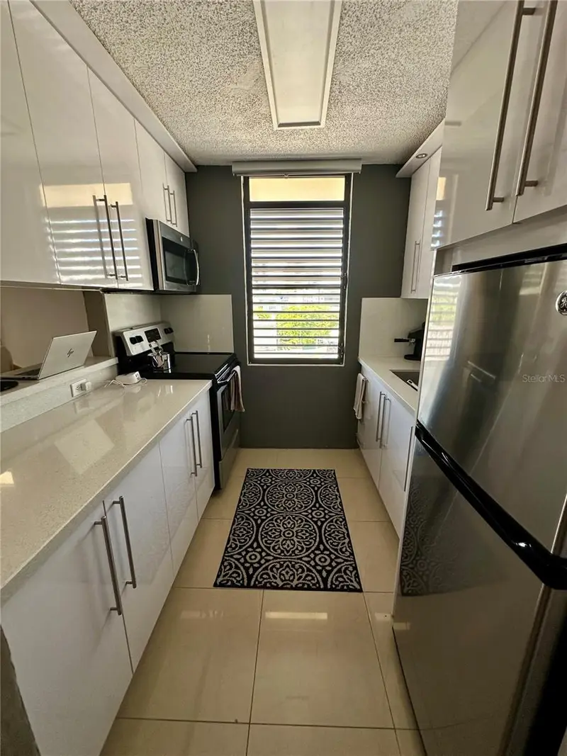 171 Calle San Jorge #Ph702, PR