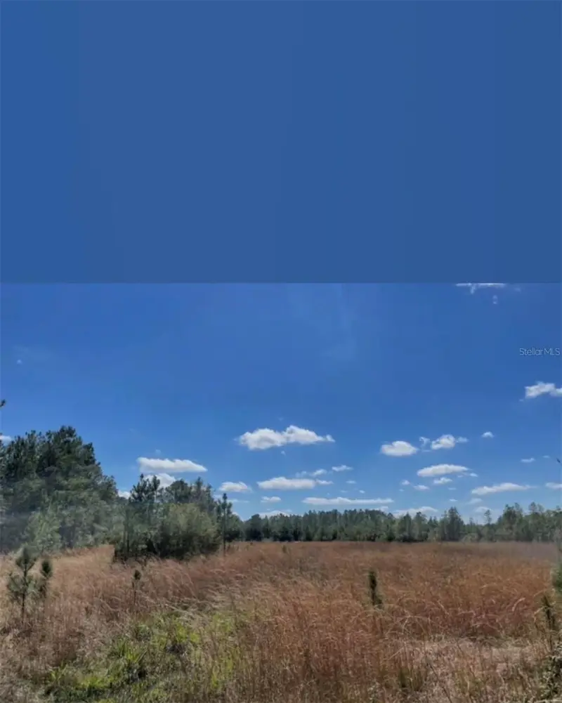 Ne 124th Ter, FL