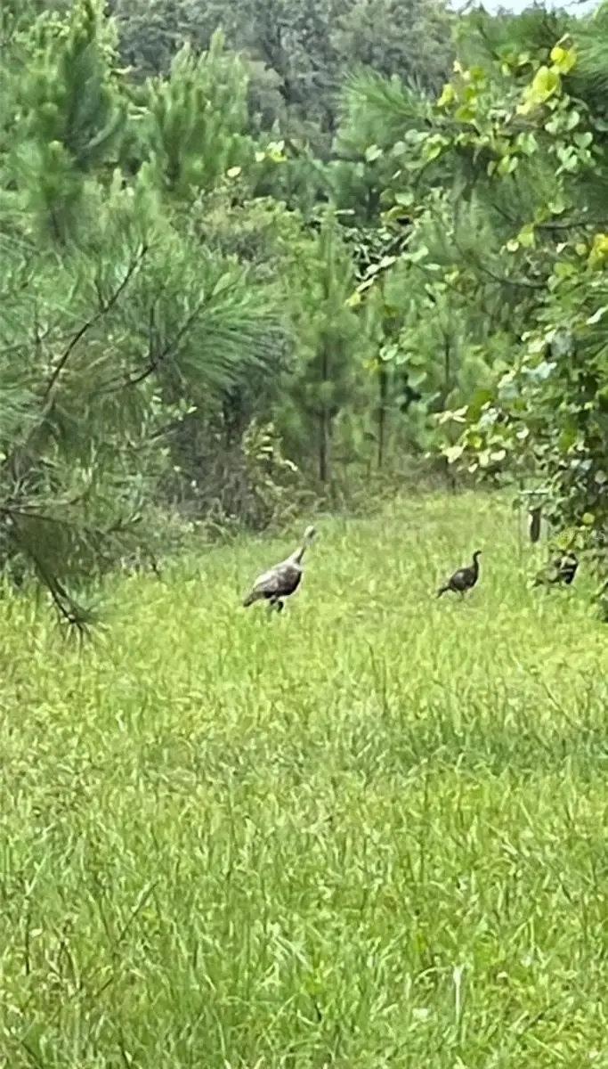 Ne 124th Ter, FL