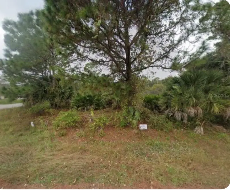 4804 Hader Rd, FL