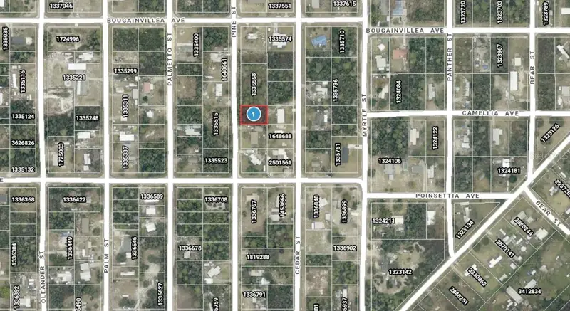14-17-28-0200-009-01400 Pine St, FL