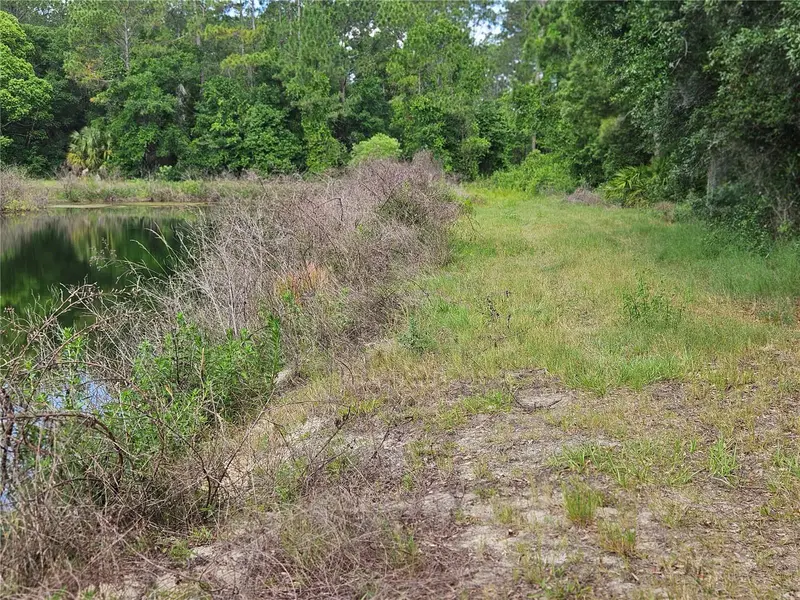 Burnsed Rd, FL