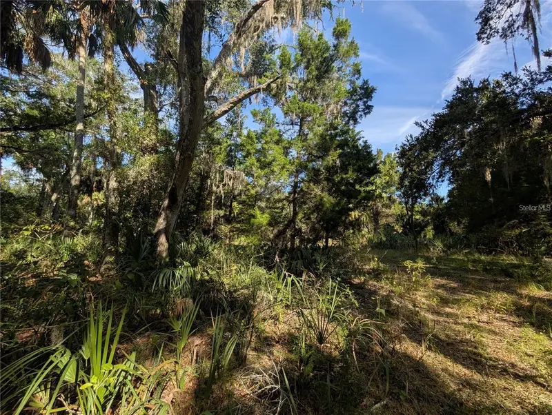 11009 N Withla Bluff Pt, FL