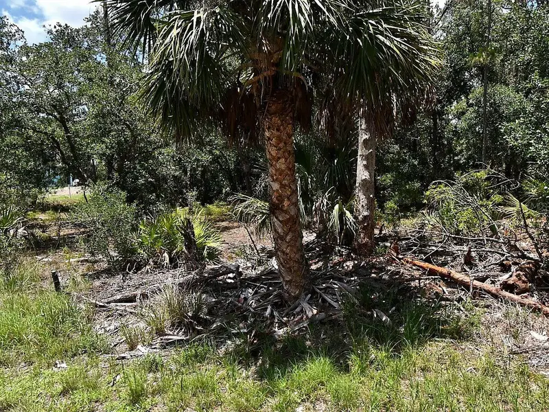 Hawksbill Ave, FL