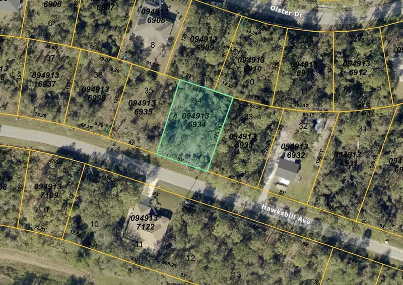Hawksbill Ave, FL