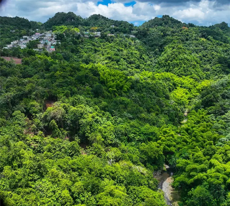 Sr 146 Km. 19.4 Interior Bo Cordillera, PR