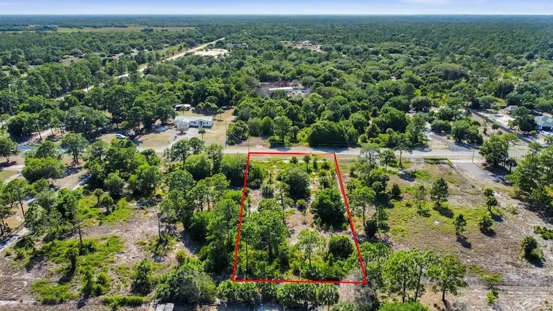 855 S Cabbage Palm St, FL