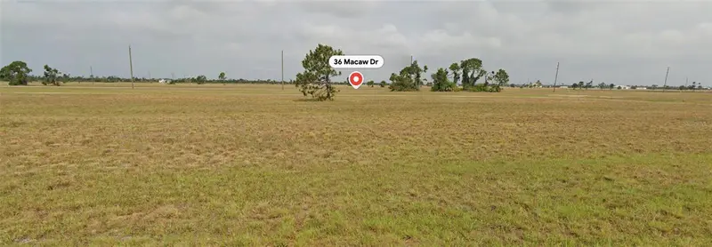 36 Macaw Dr, FL