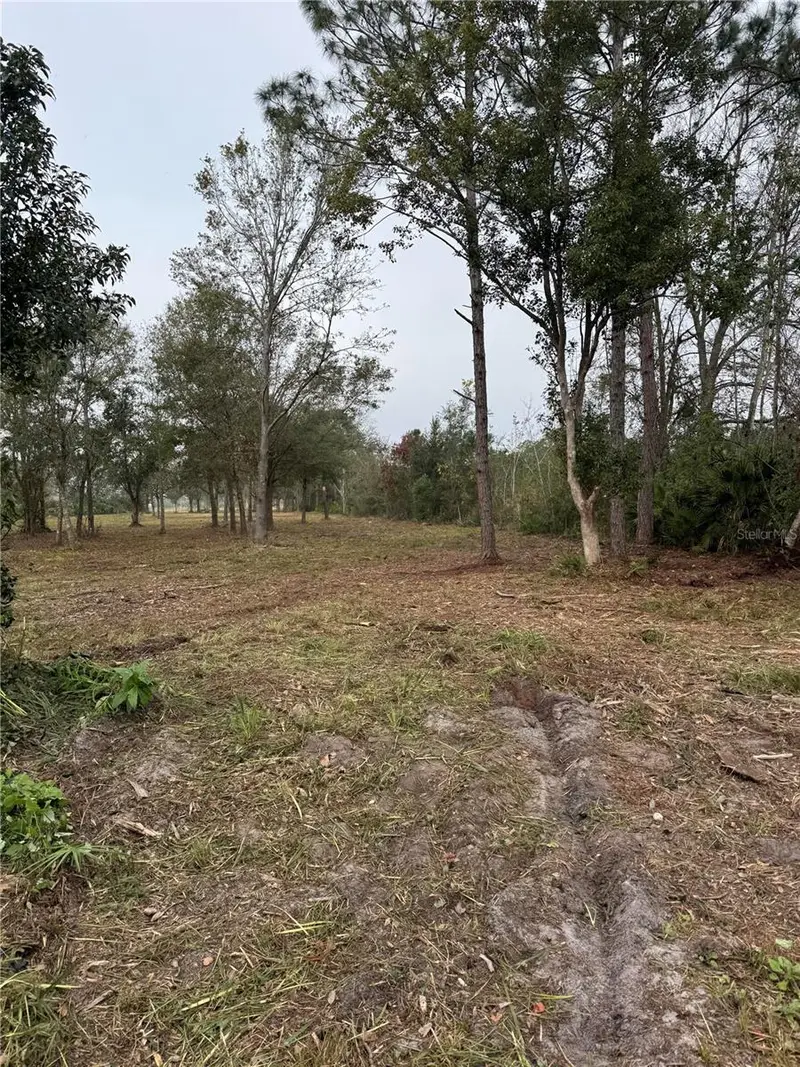 0 West Frostproof Rd, FL