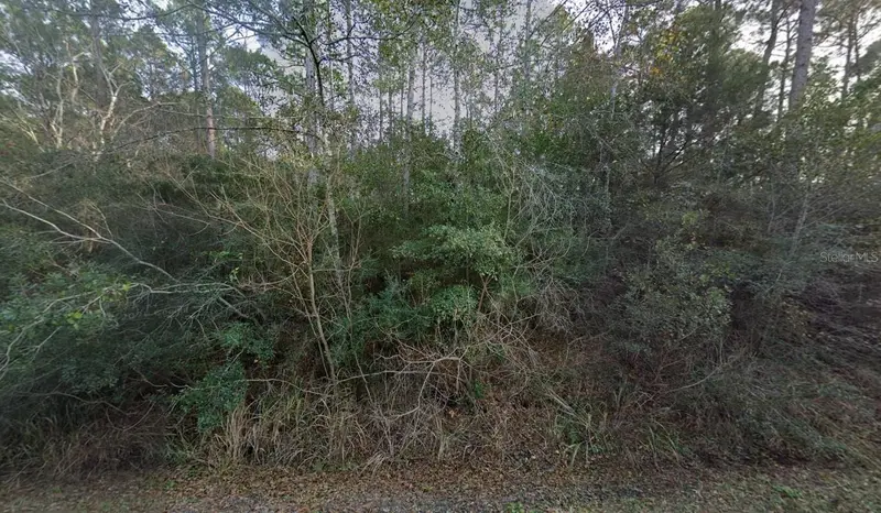 5811 Shady Bayou Ln, FL