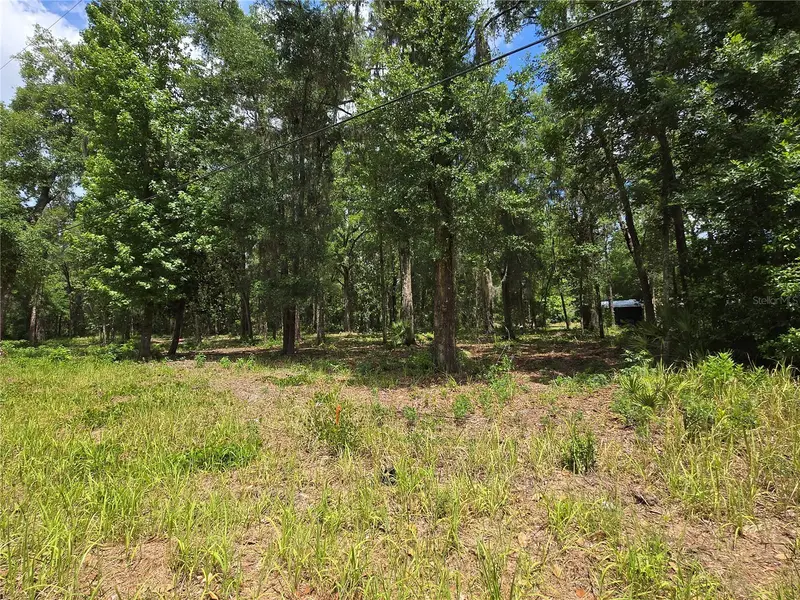 0 Sw 15th Pl, FL