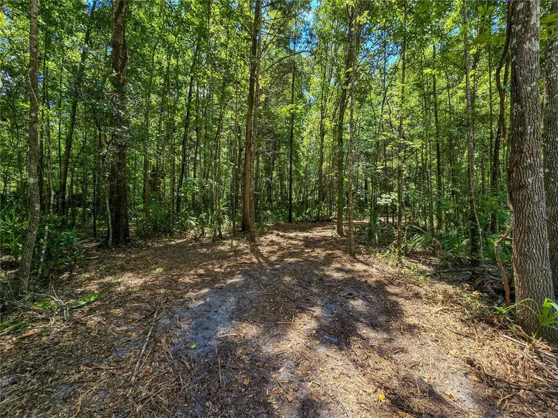 2381 N Jennifer Ter, FL