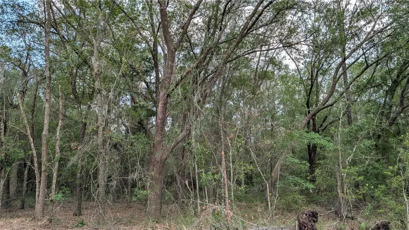 Tbd Ne 108th Pl, FL