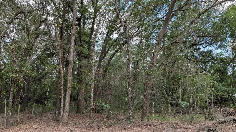Tbd Ne 108th Pl, FL