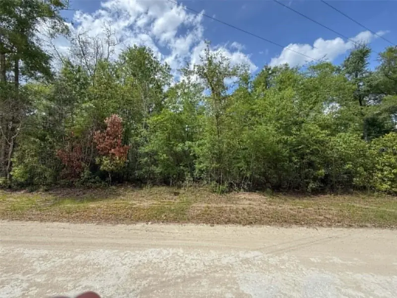 Tbd 282nd Ter, FL