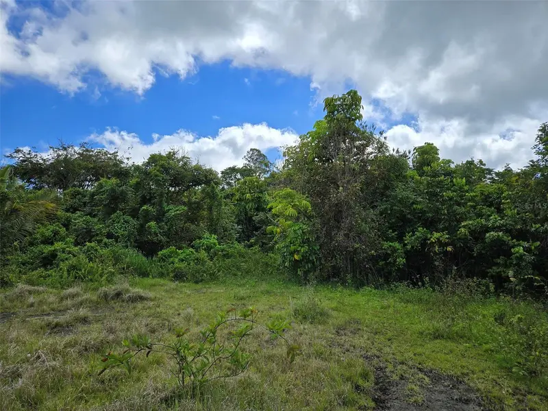 Pr 7718 Km 4.1 Pasto Ward, PR