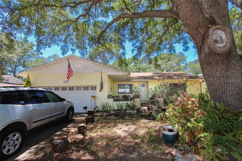 1229 Oak Valley Drive, FL