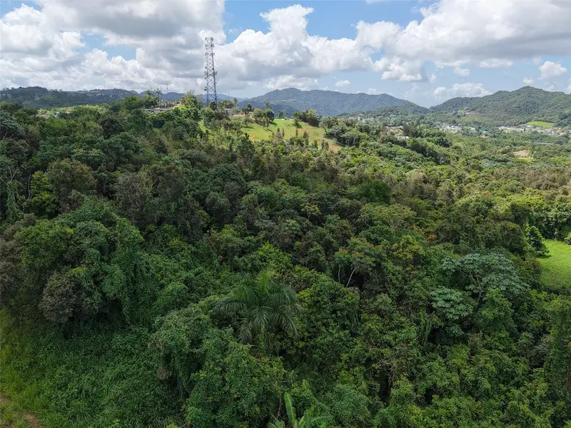 Pr 7718 Km 3.6 Pasto Ward, PR