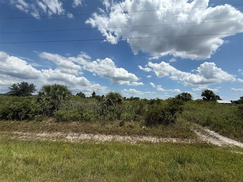 16162 Nw 290th St, FL