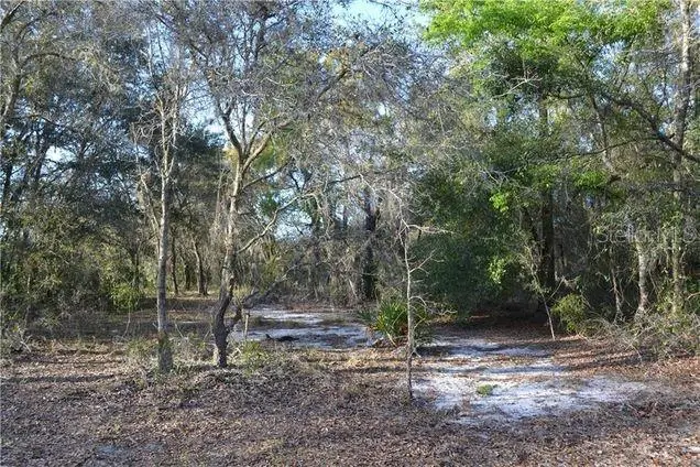 Grandville, FL