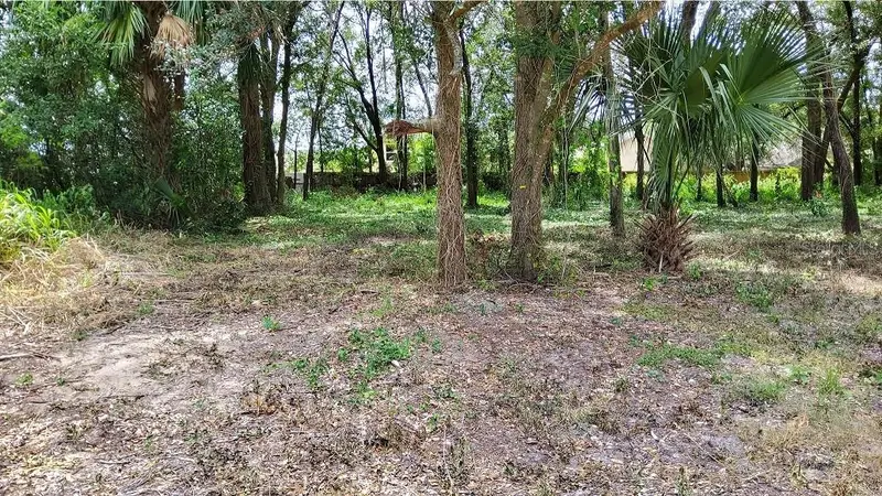 25050 Algonquin Ave, FL